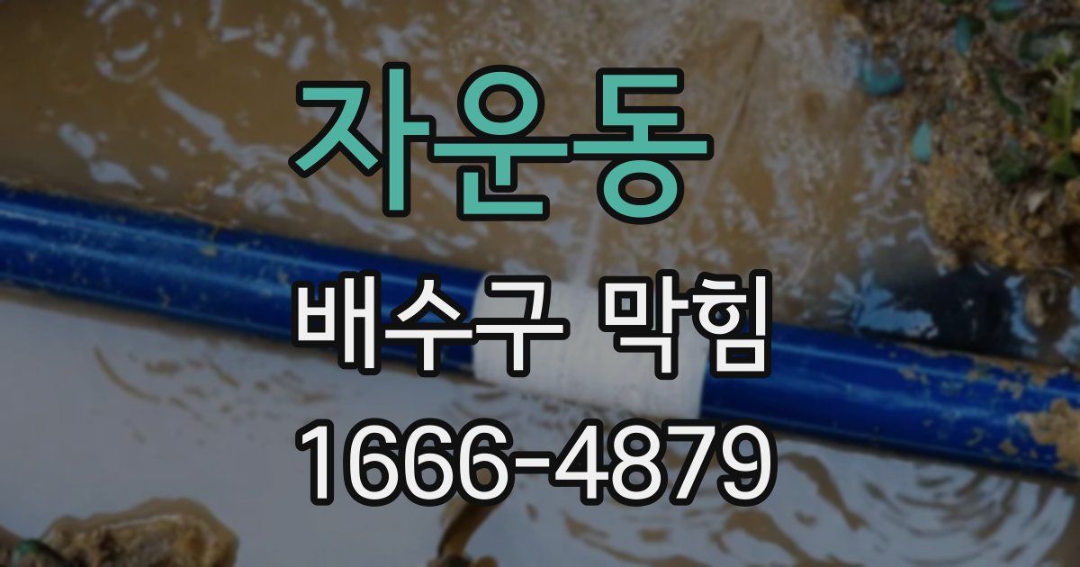 자운동 배수구 막힘