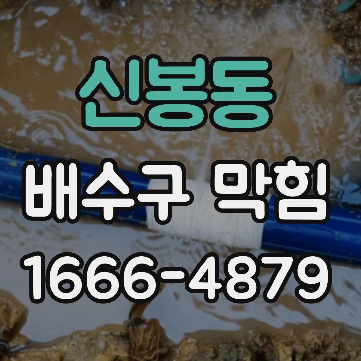 신봉동 배수구 막힘