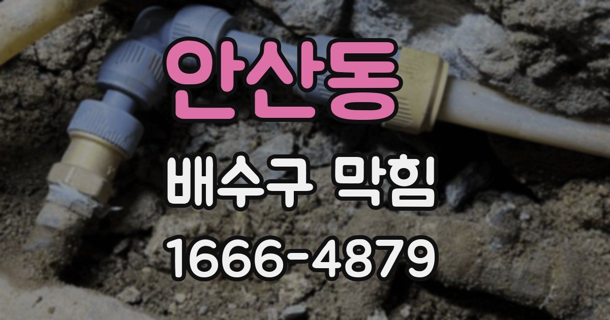 안산동 배수구 막힘