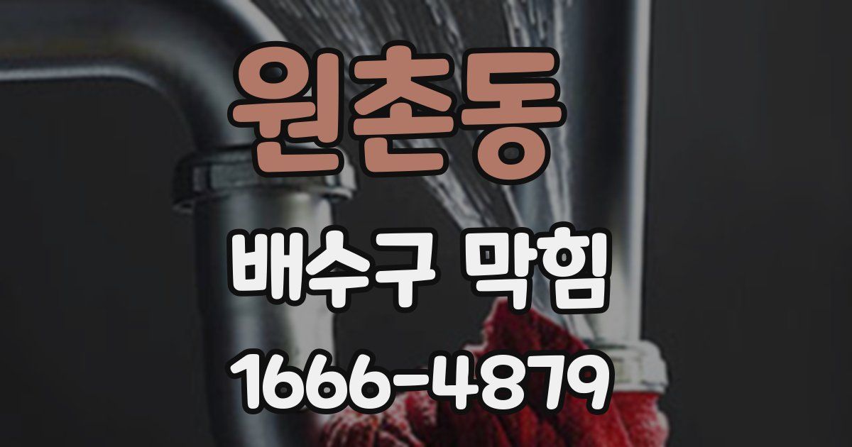원촌동 배수구 막힘