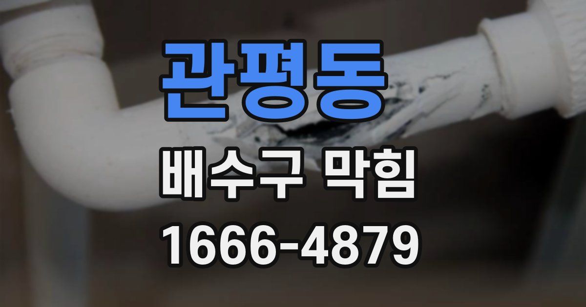 관평동 배수구 막힘