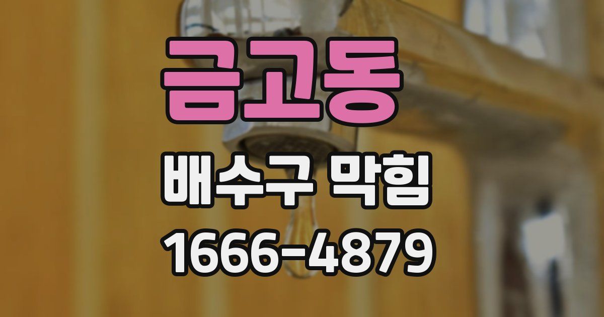 금고동 배수구 막힘