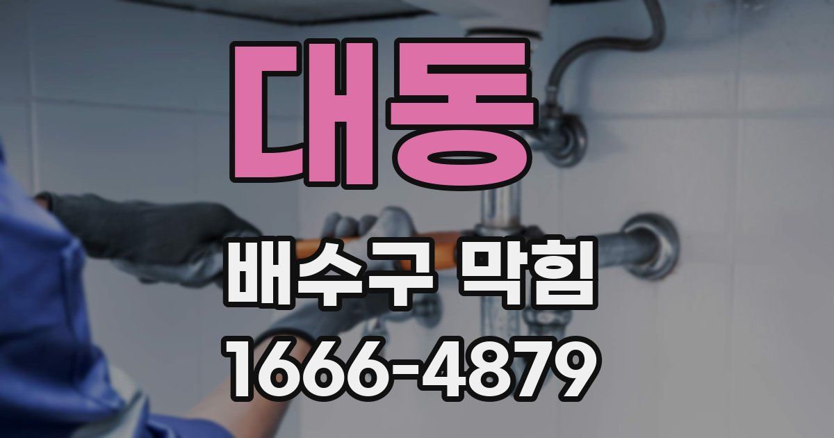 대동 배수구 막힘