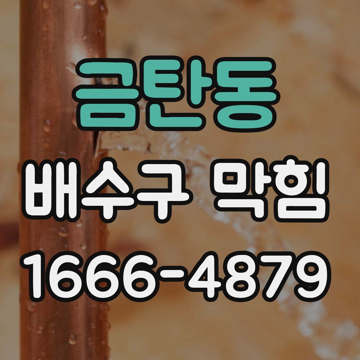 금탄동 배수구 막힘