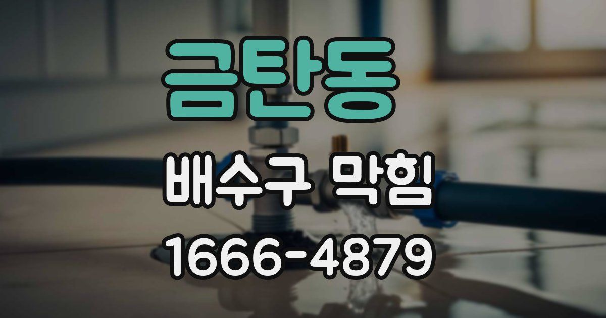 금탄동 배수구 막힘