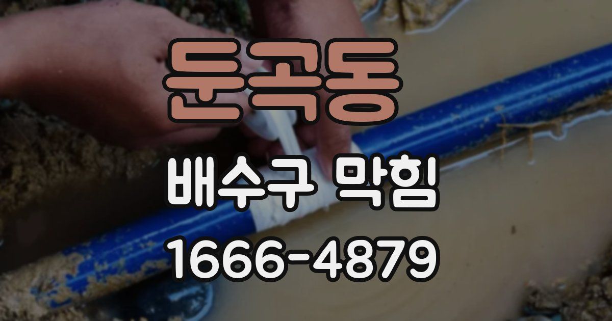 둔곡동 배수구 막힘