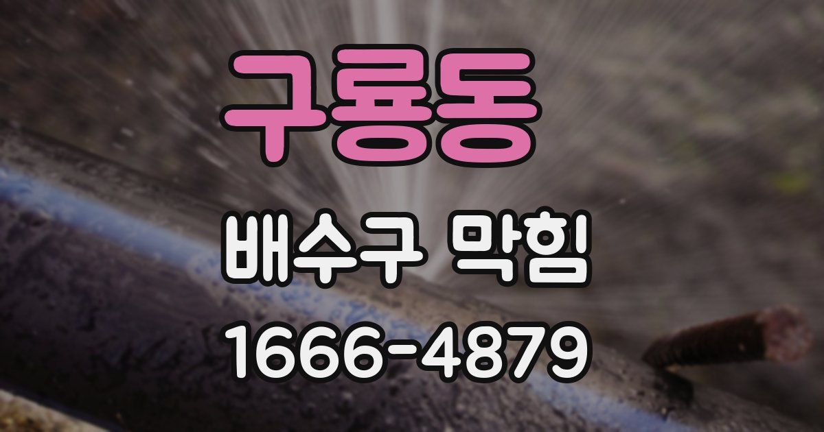 구룡동 배수구 막힘