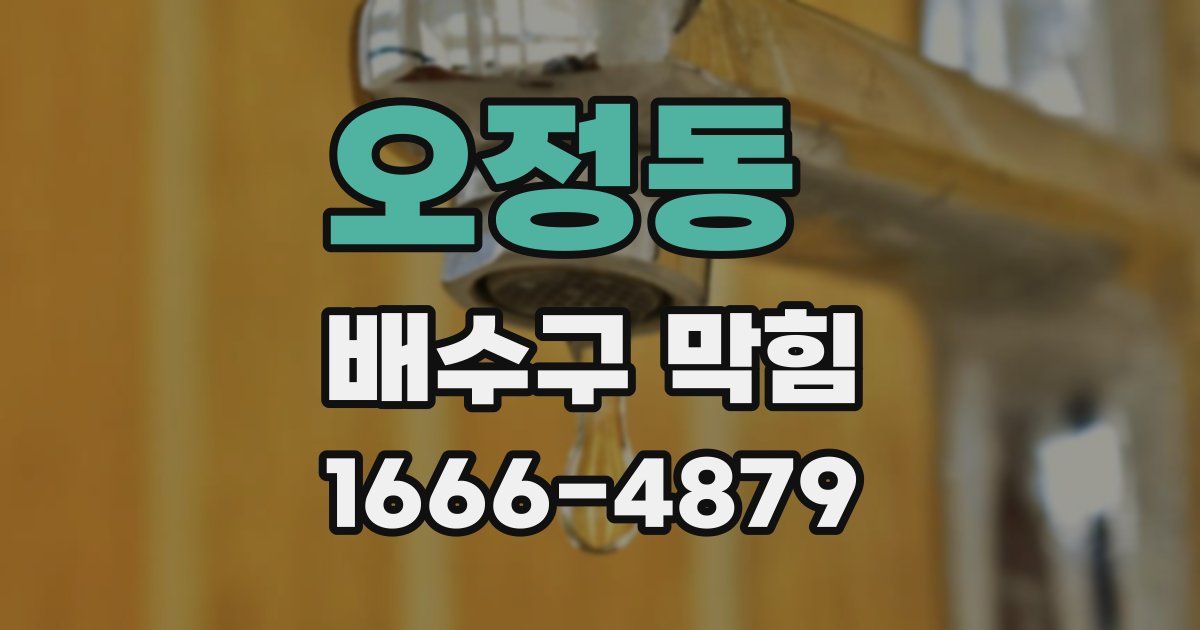 오정동 배수구 막힘
