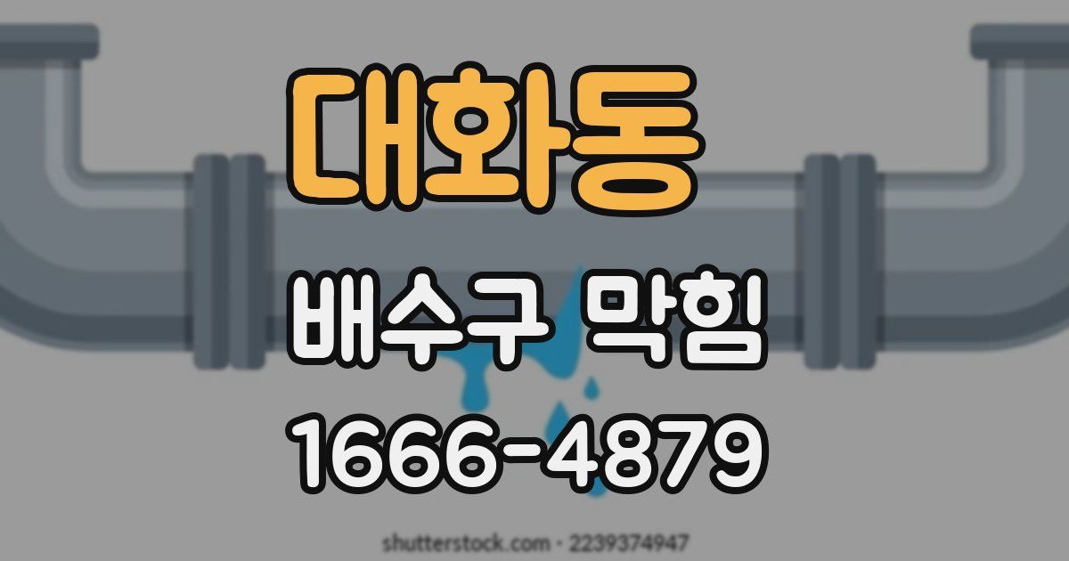 대화동 배수구 막힘
