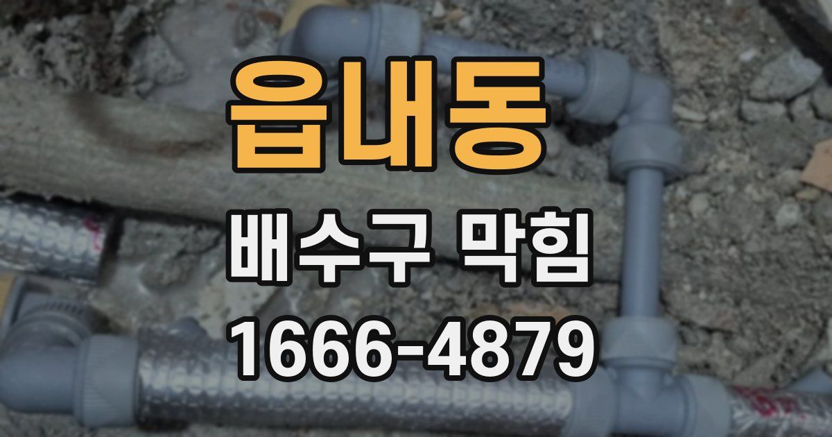 읍내동 배수구 막힘