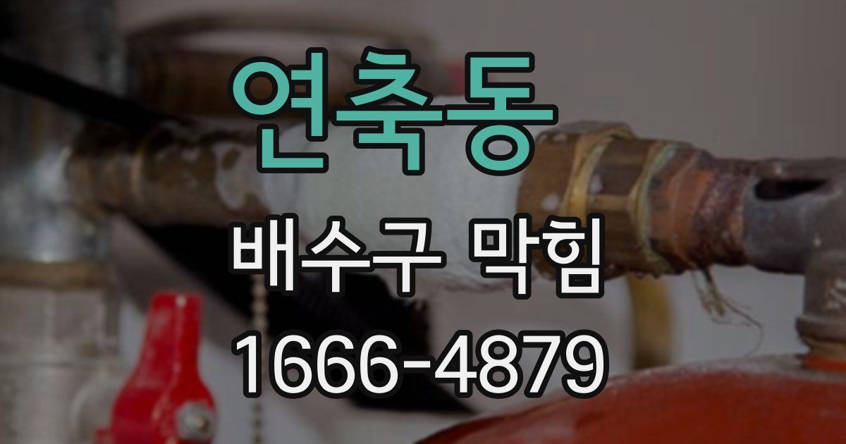 연축동 배수구 막힘