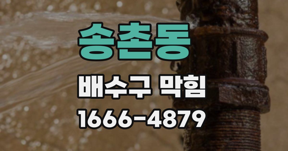 송촌동 배수구 막힘