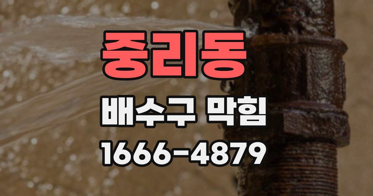 중리동 배수구 막힘