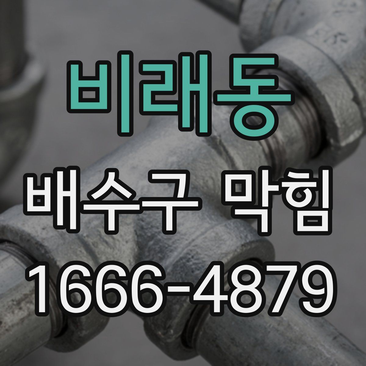 비래동 배수구 막힘