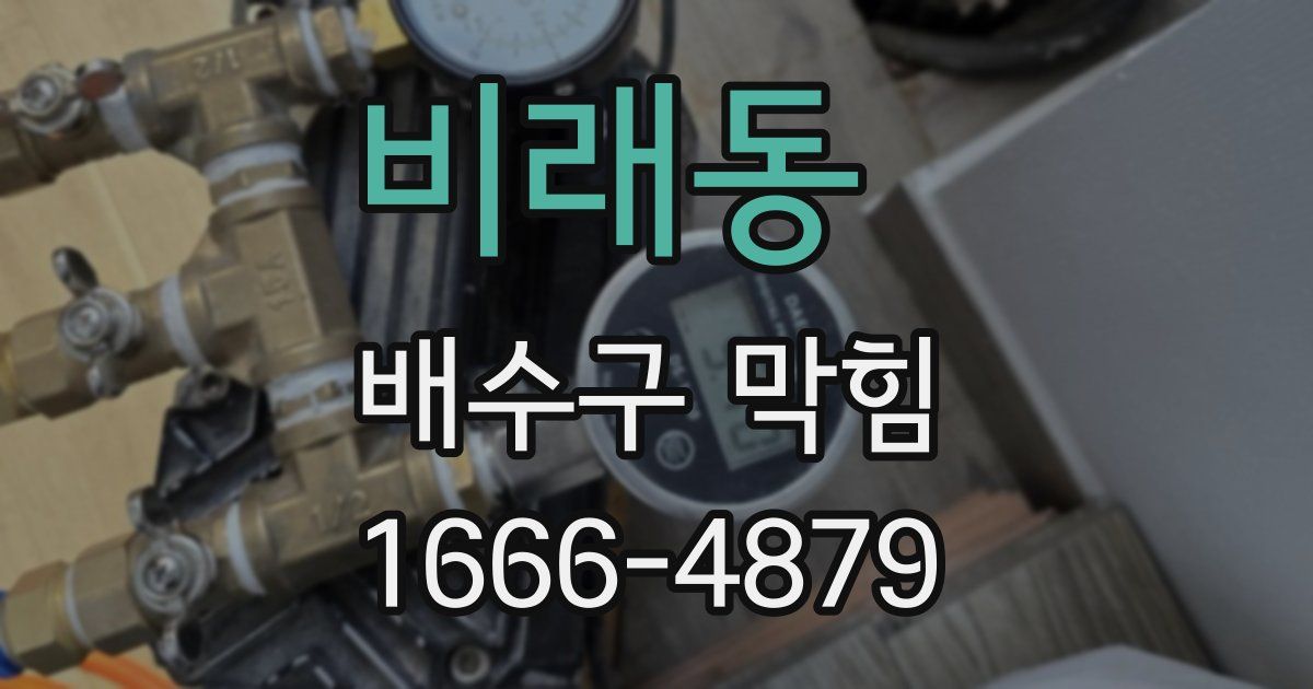 비래동 배수구 막힘