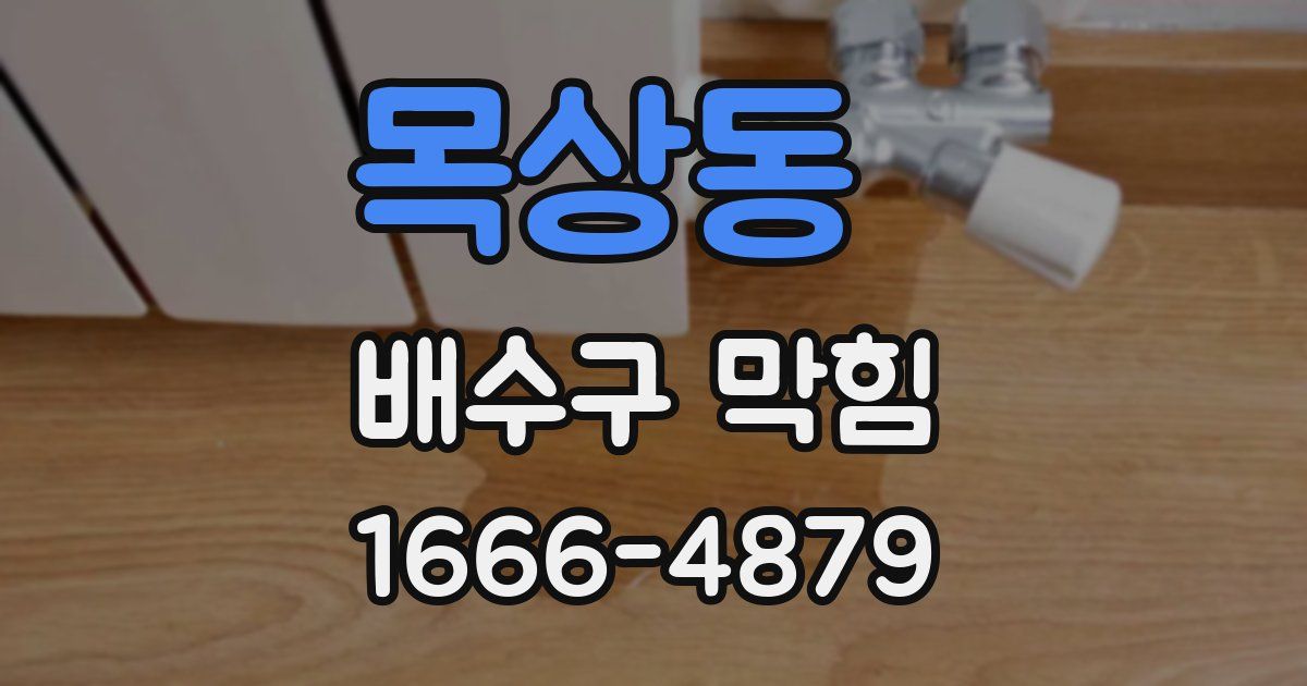 목상동 배수구 막힘