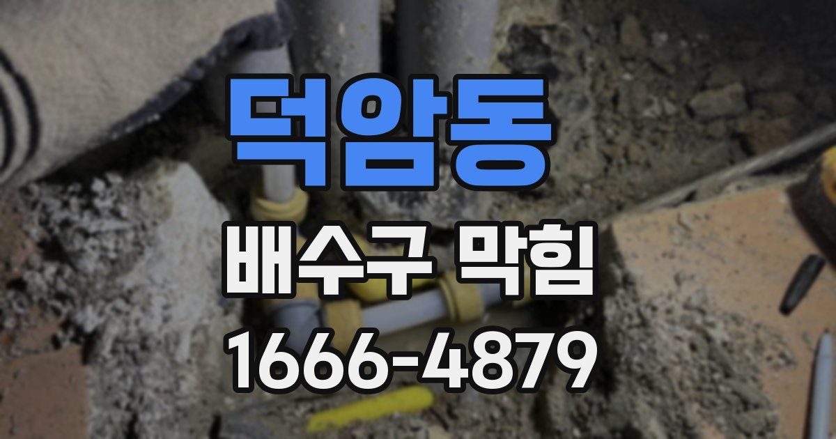 덕암동 배수구 막힘