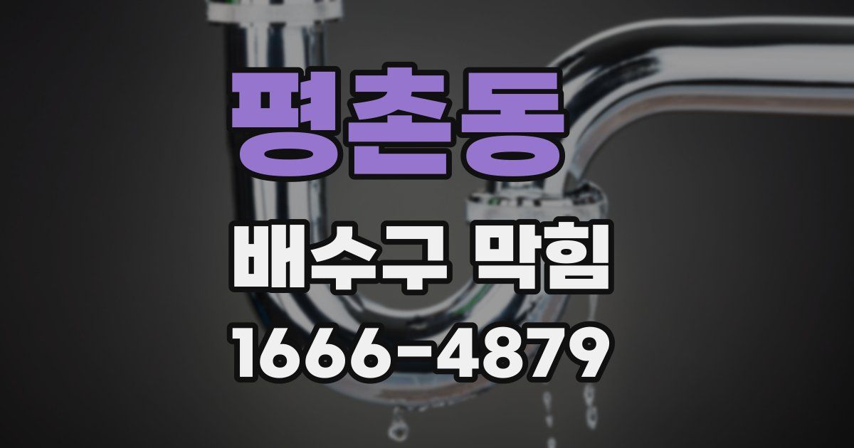 평촌동 배수구 막힘