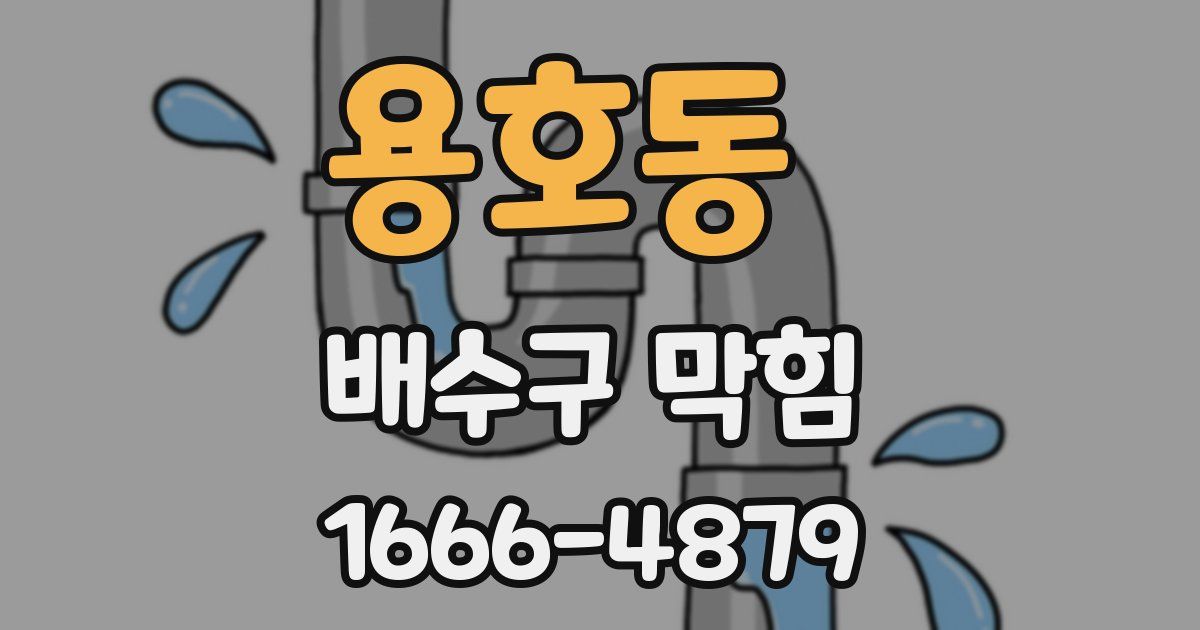 용호동 배수구 막힘