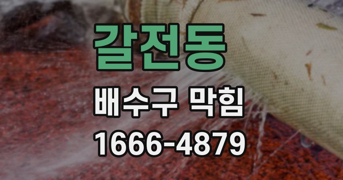 갈전동 배수구 막힘