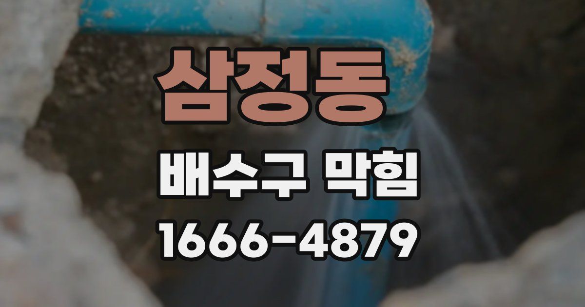 삼정동 배수구 막힘