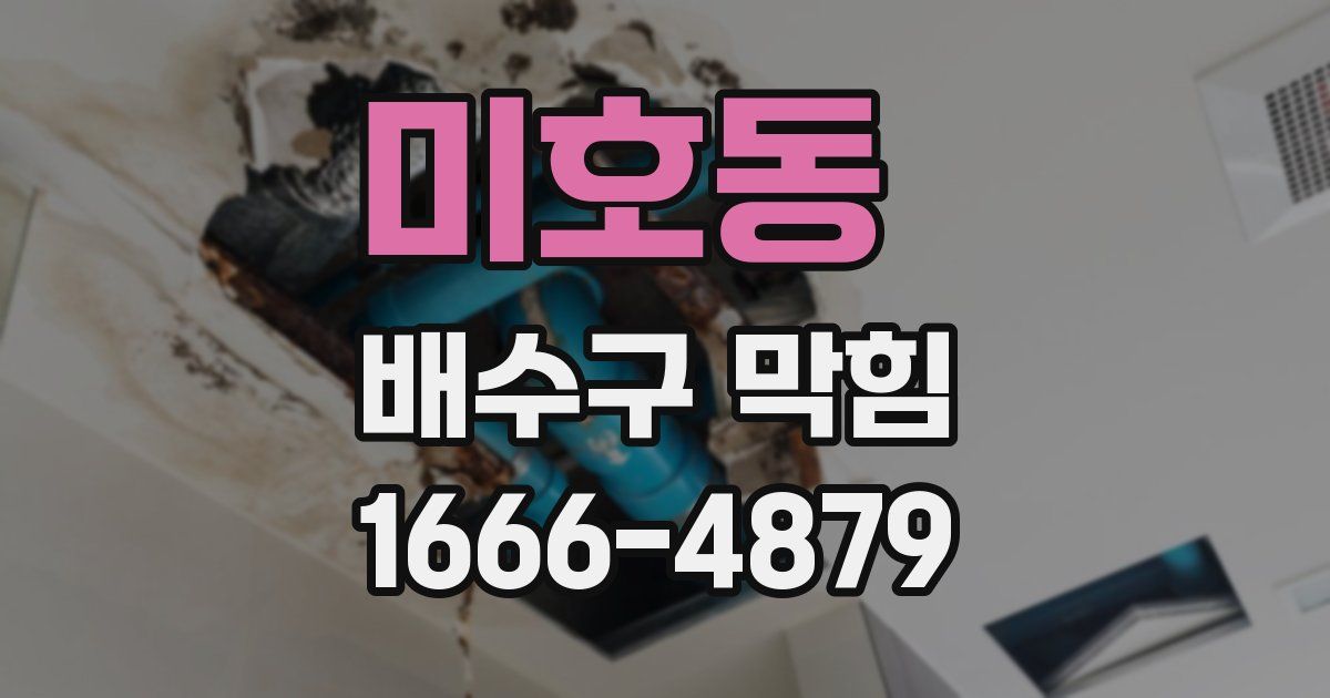 미호동 배수구 막힘
