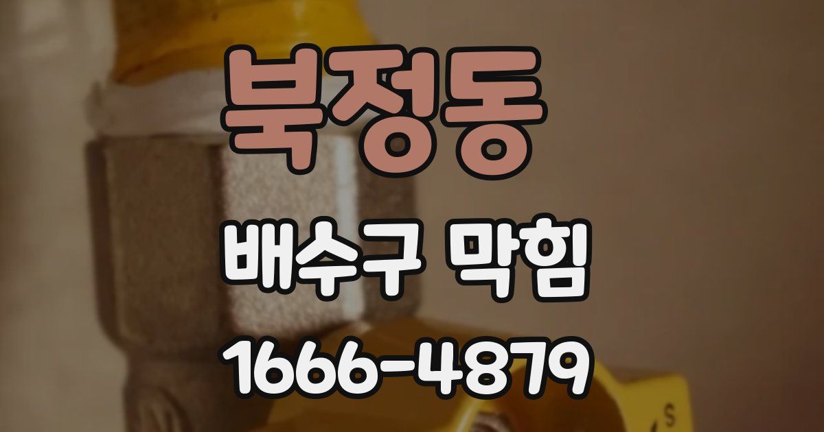북정동 배수구 막힘