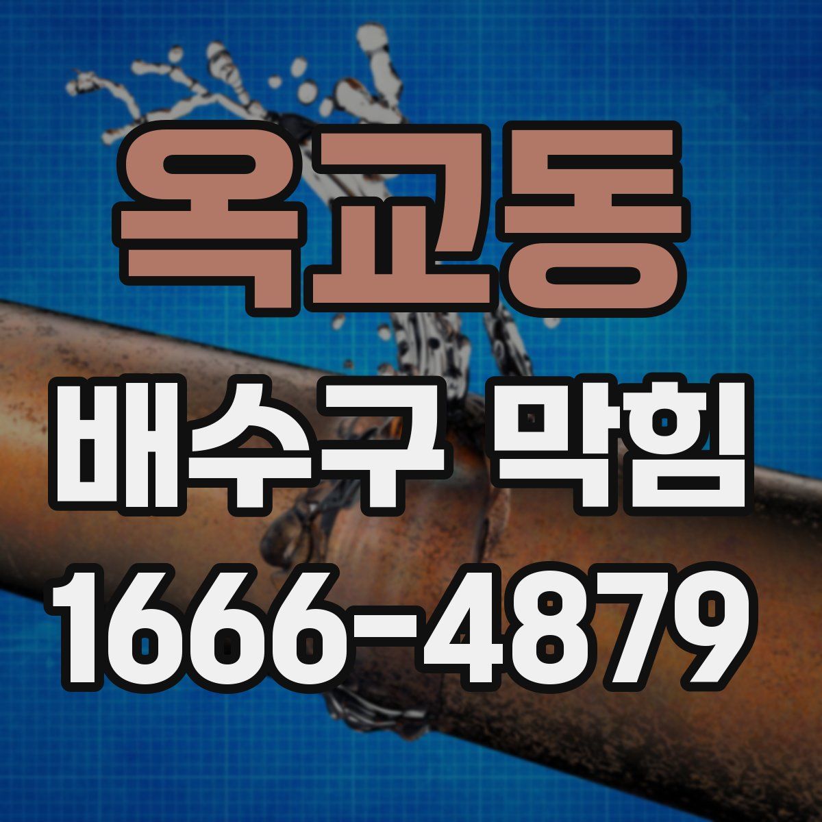 옥교동 배수구 막힘