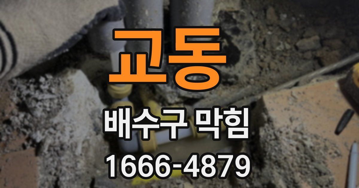 교동 배수구 막힘