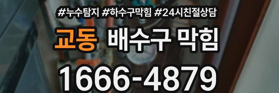교동 배수구 막힘