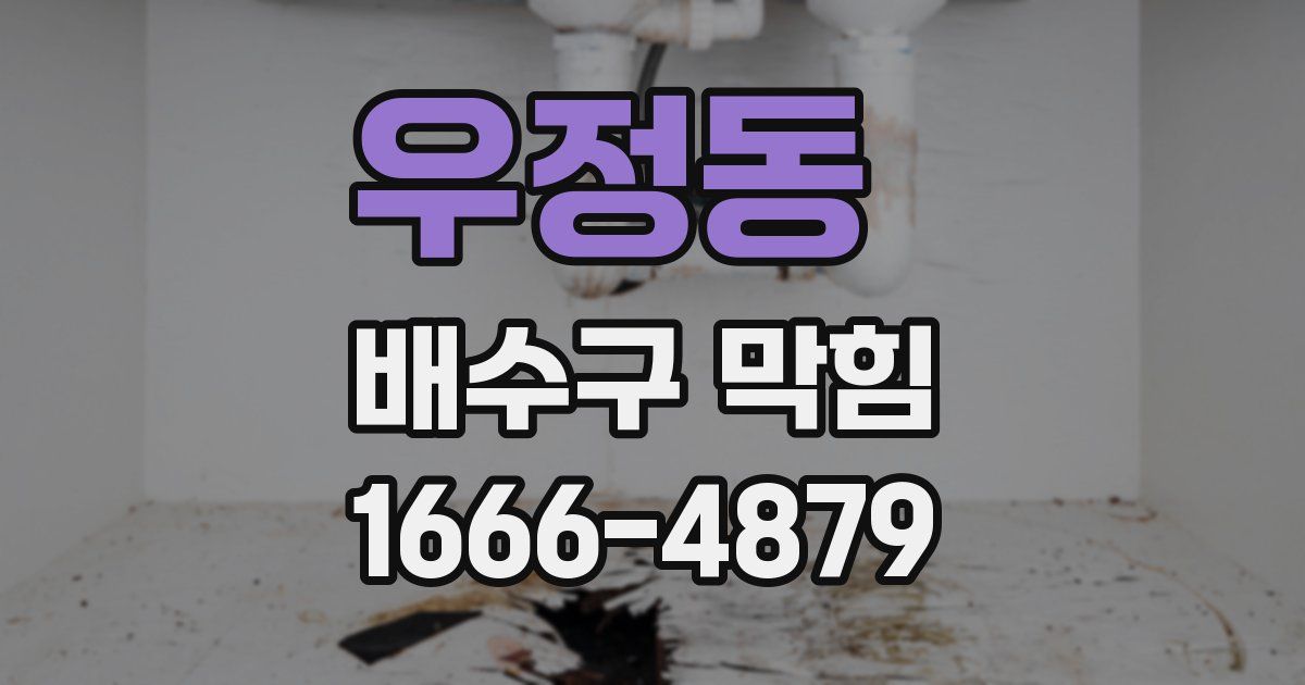 우정동 배수구 막힘