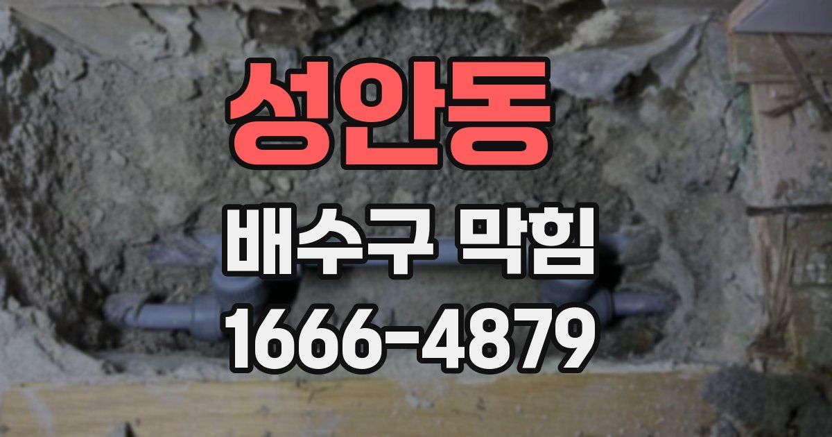 성안동 배수구 막힘