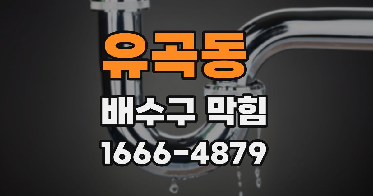 유곡동 배수구 막힘