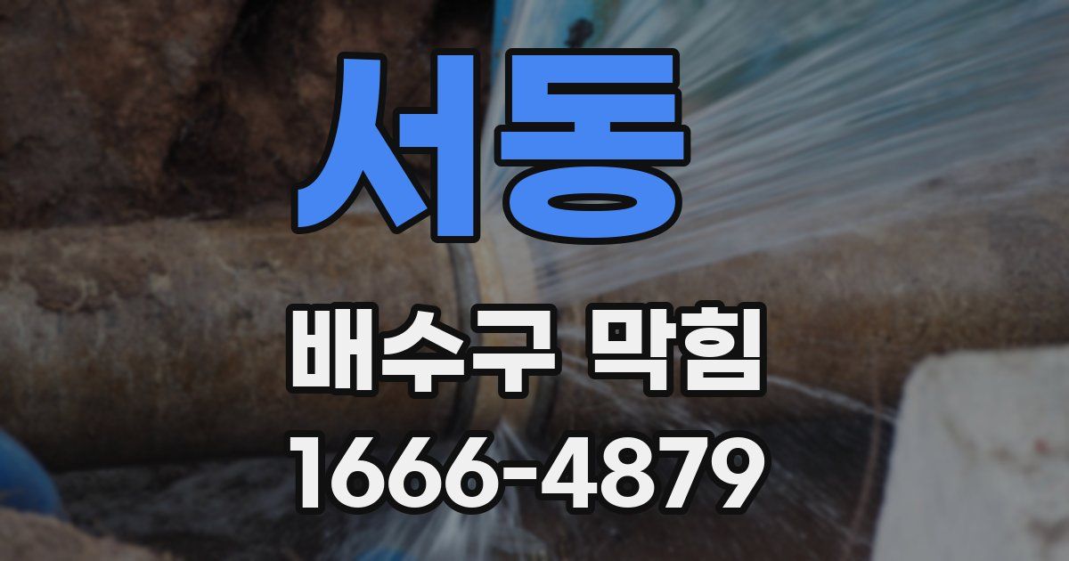 서동 배수구 막힘