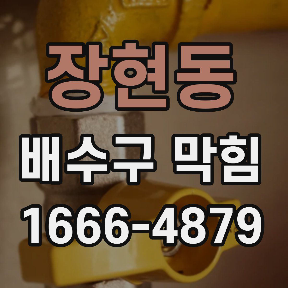 장현동 배수구 막힘