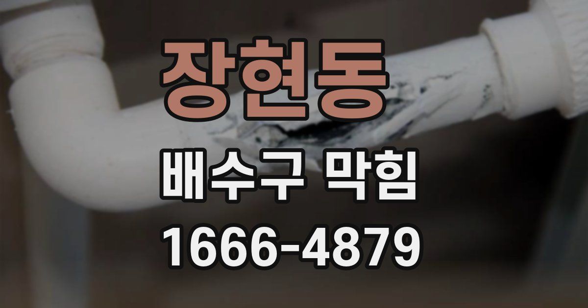장현동 배수구 막힘