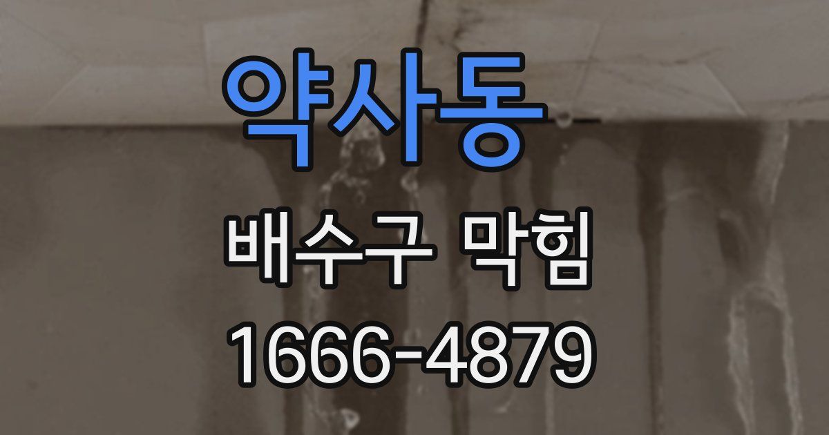 약사동 배수구 막힘