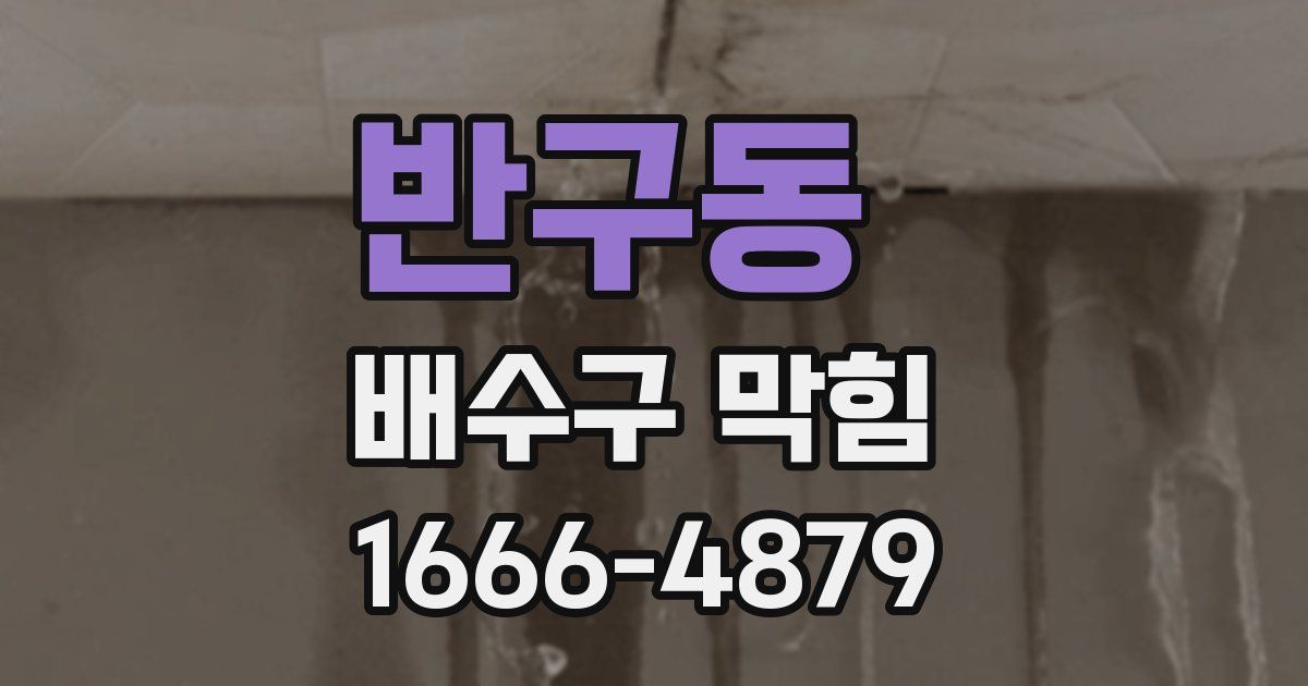 반구동 배수구 막힘