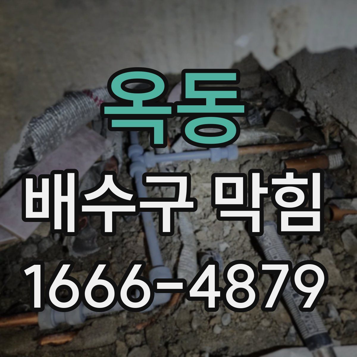 옥동 배수구 막힘