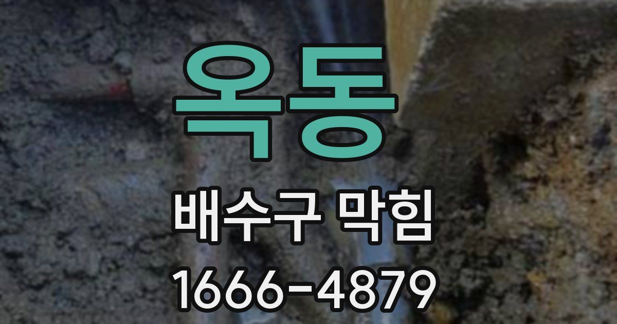 옥동 배수구 막힘
