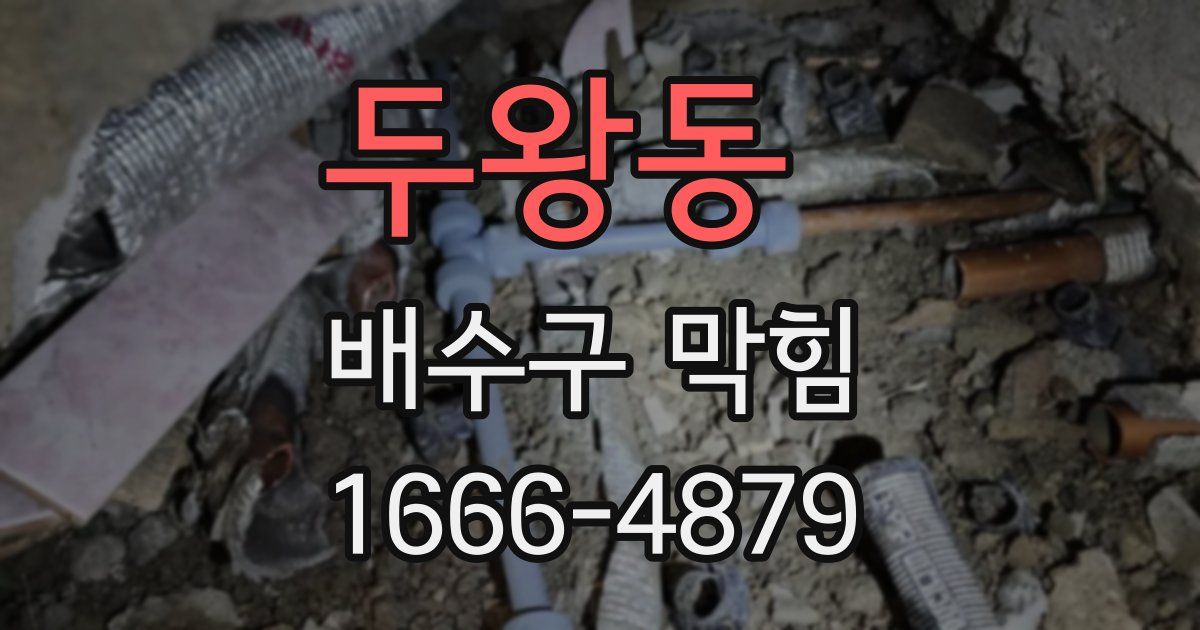 두왕동 배수구 막힘