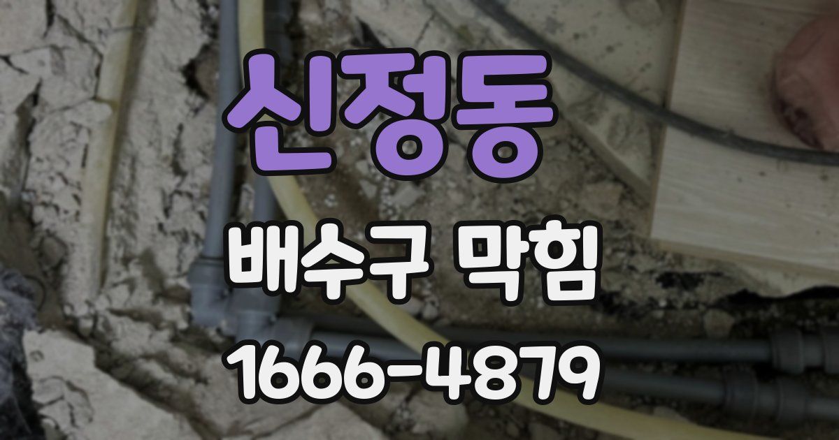 신정동 배수구 막힘