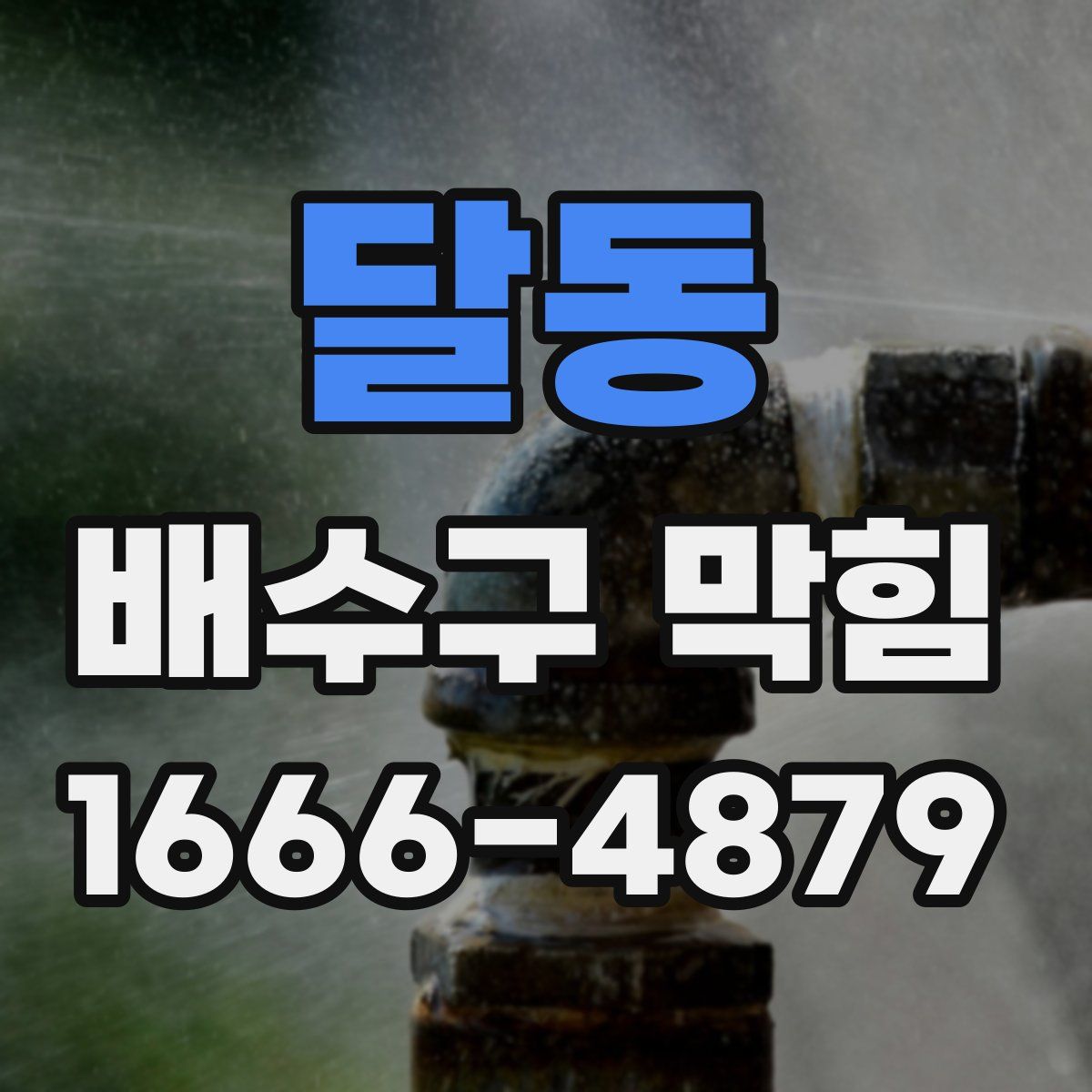 달동 배수구 막힘