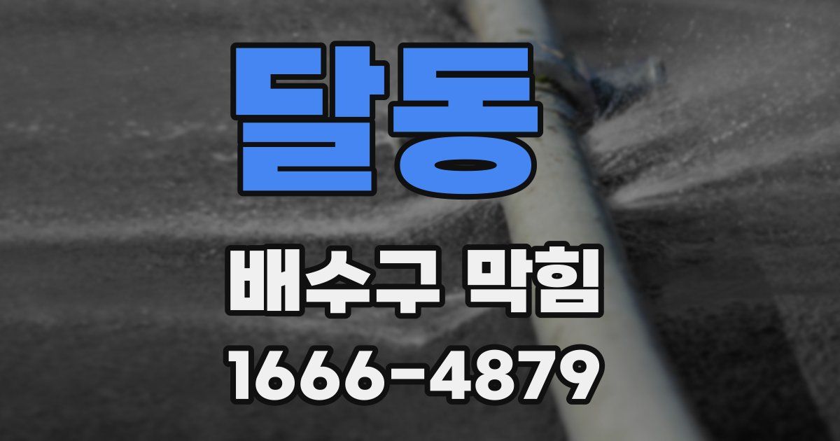 달동 배수구 막힘