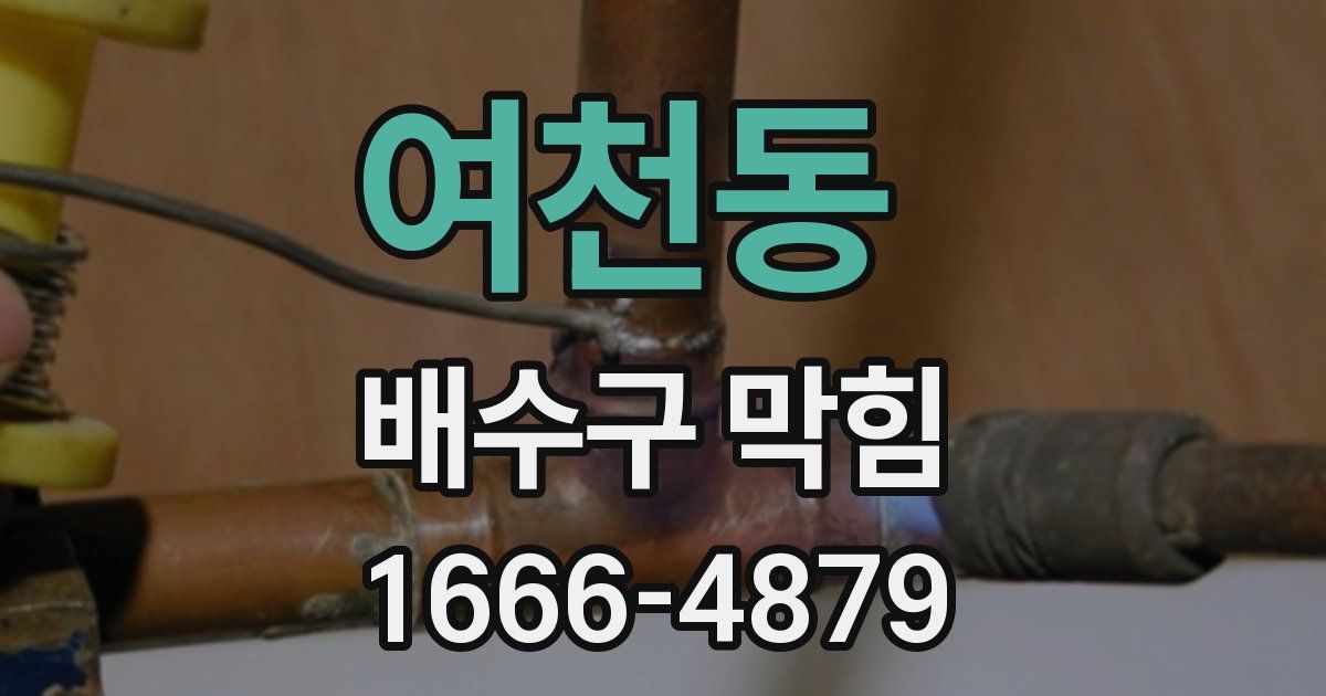 여천동 배수구 막힘
