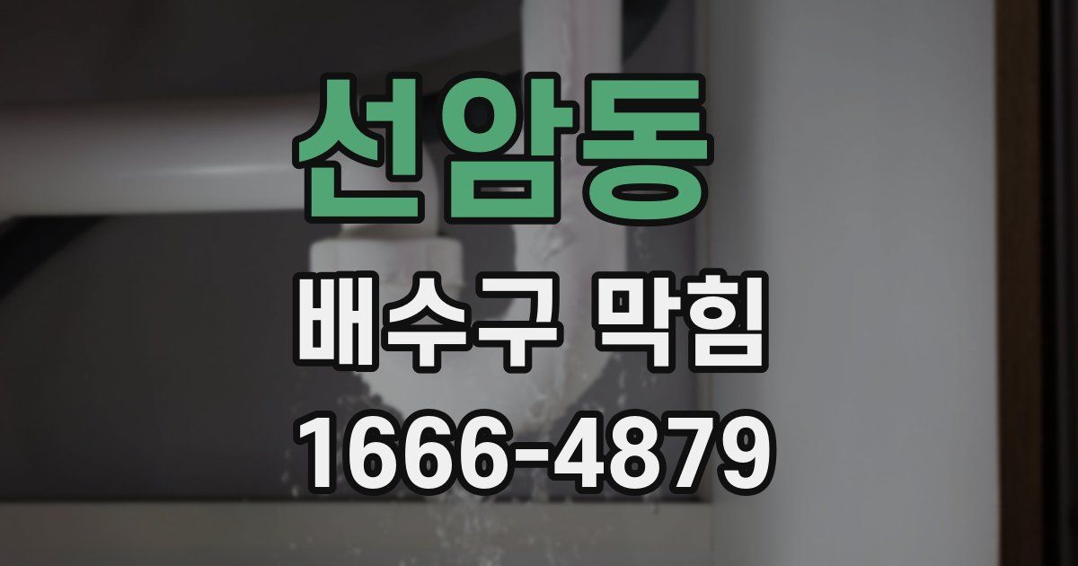 선암동 배수구 막힘
