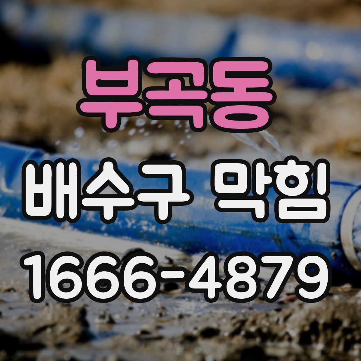 부곡동 배수구 막힘