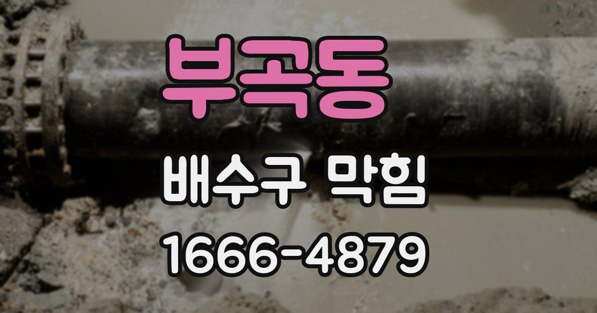 부곡동 배수구 막힘