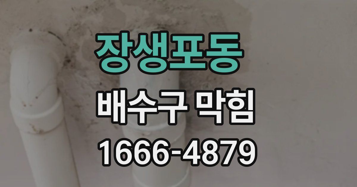 장생포동 배수구 막힘