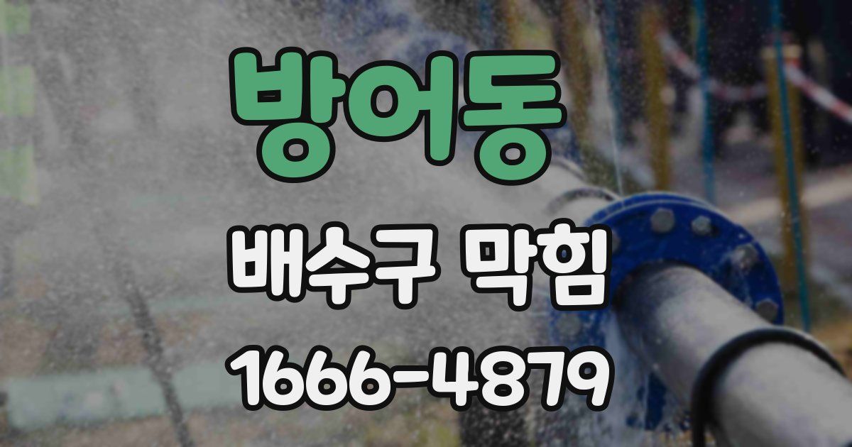 방어동 배수구 막힘